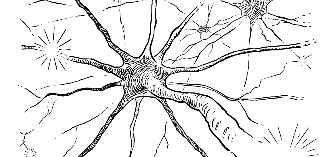 Neuroner og Synapser
