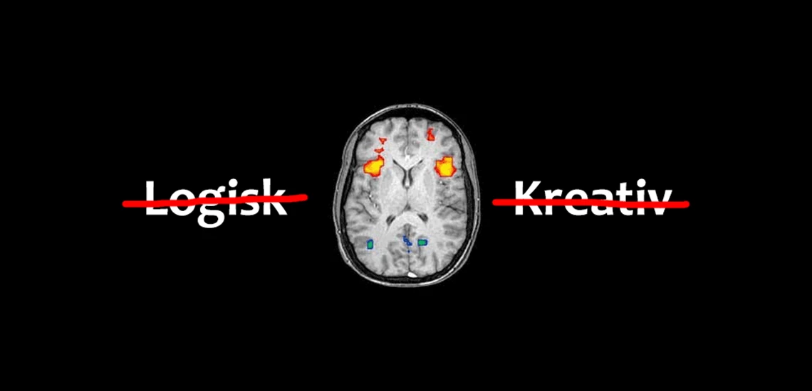Hjernen er ikke opdelt i en kreativ højre halvdel og logisk venstre halvdel