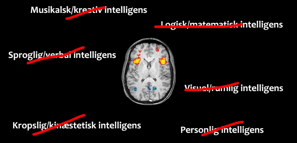 Myte: Teorien om de 7 intelligenser