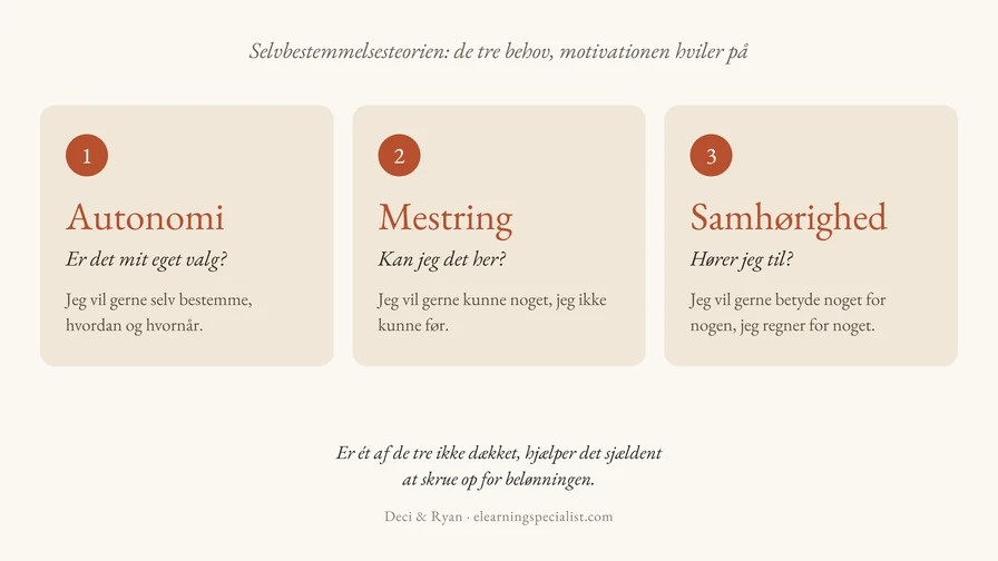 Selvbestemmelsesteoriens tre psykologiske behov: autonomi, mestring og samhørighed
