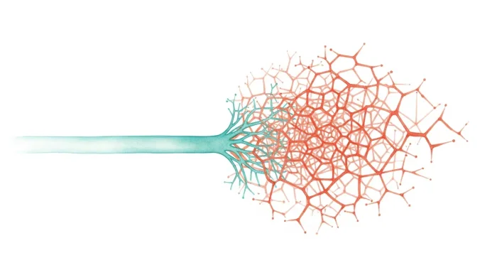 Hvordan tilpasser man læring til begyndere og eksperter?