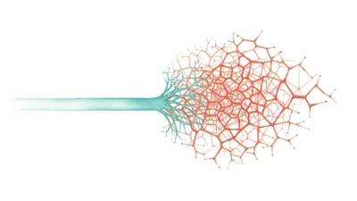 How do you adapt learning for beginners and experts?